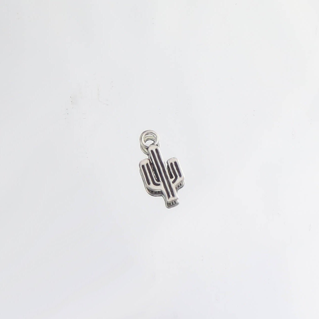 仙人掌藏銀飾品